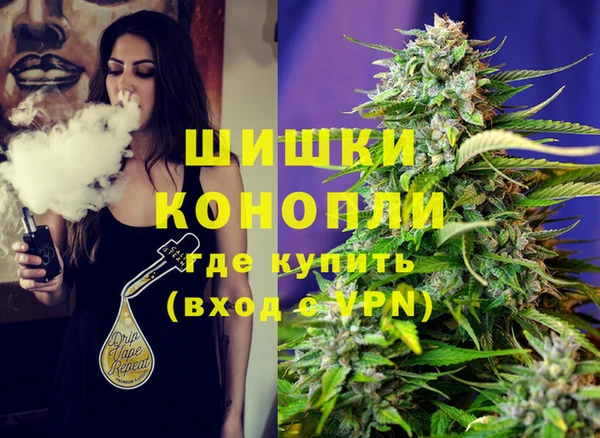 тгк Бородино