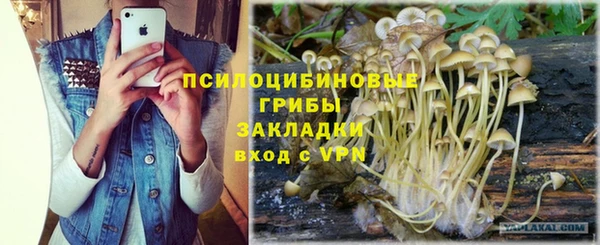 тгк Бородино