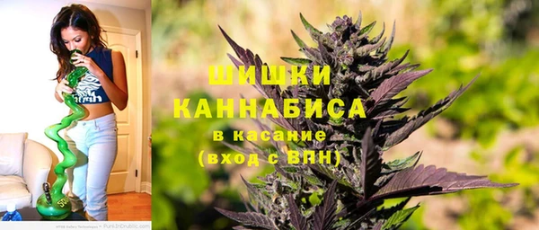 тгк Бородино