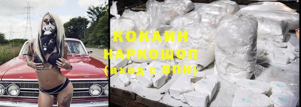 тгк Бородино